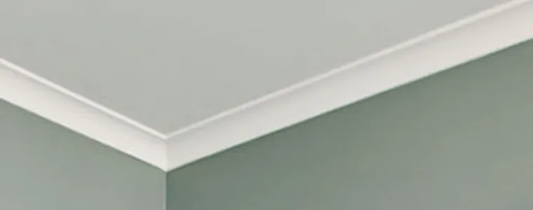 Cornice Repairs & Installation